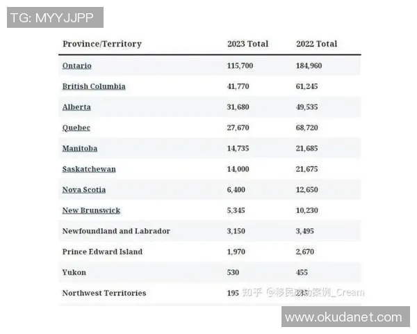 广州排球队近期状态分析与未来展望聚焦排球运动发展新机遇
