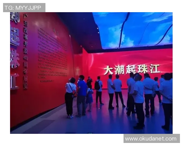 深圳篮球队的奋斗历程：从默默无闻到荣耀巅峰的真实记录