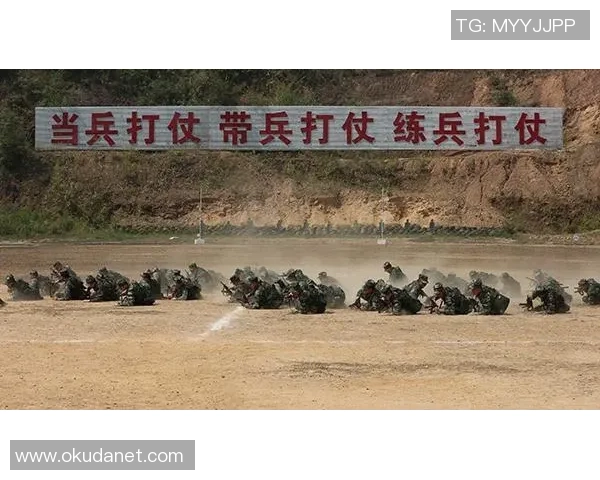 深入分析V5战队快攻战术的核心要素与实战应用