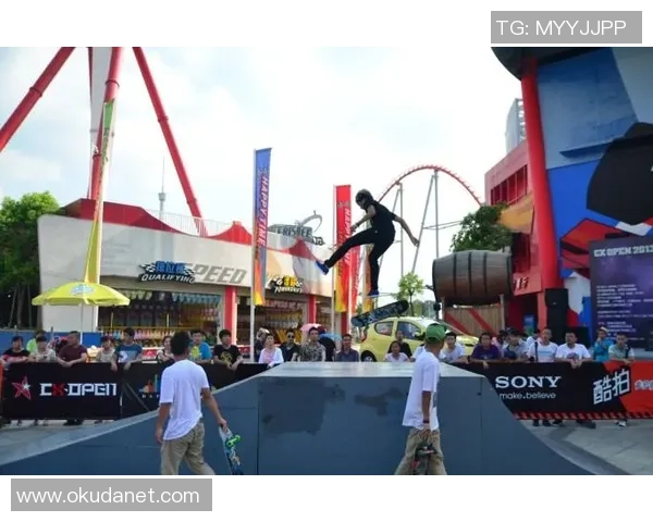 武汉极限运动队荣登全国极限运动状态排行榜第二名的辉煌成就